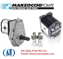 5c0f7181c74f9 1544515969 - Bơm bánh răng Marzochi