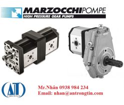 5c0f7181cc291 1544515969 - Bơm bánh răng Marzochi