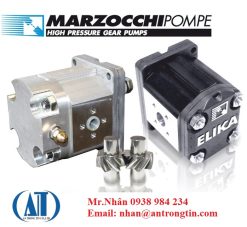 5c0f7181d6e3b 1544515969 - Bơm bánh răng Marzochi