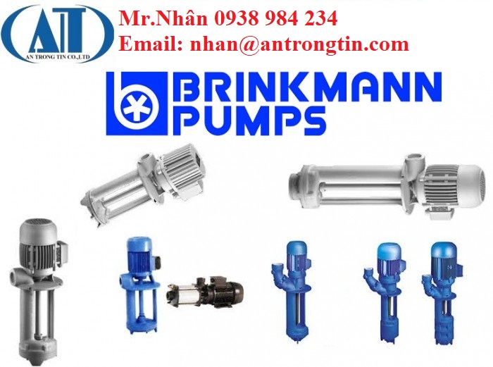 TA400270 - Bơm nước Brinkmann Pumps Bơm nước Brinkmann Pumps - Ảnh 4