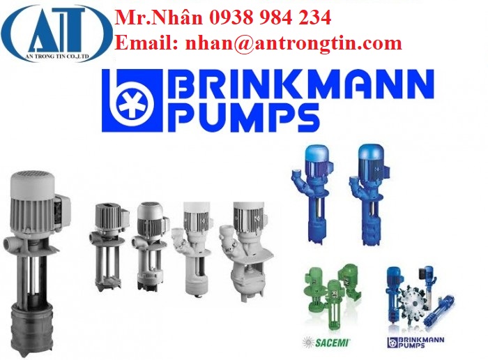 TA600210 - Bơm nước Brinkmann Pumps Bơm nước Brinkmann Pumps - Ảnh 2