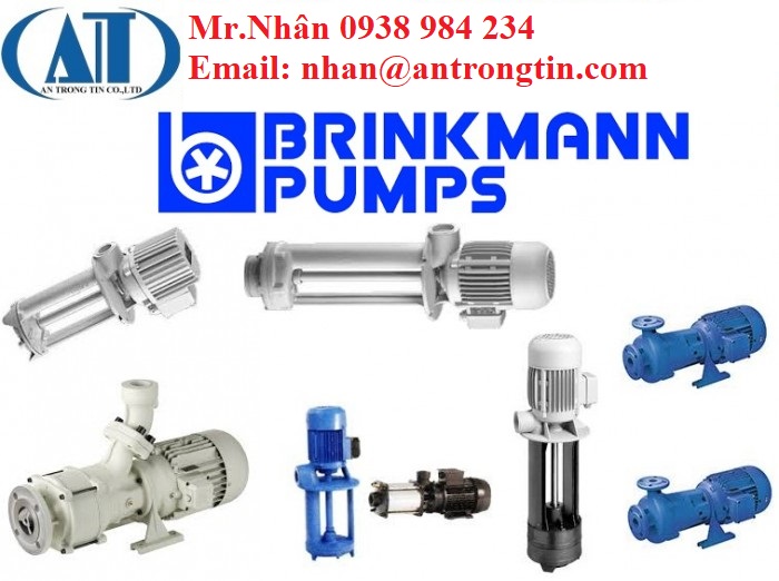 TB25220 - Bơm nước Brinkmann Pumps Bơm nước Brinkmann Pumps - Ảnh 3